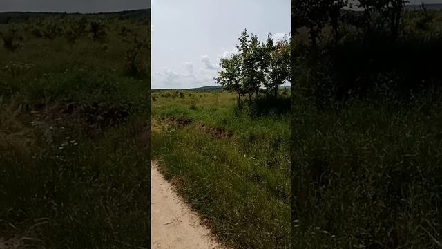 Видео обзор участка