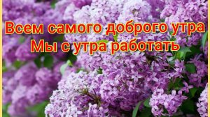Всем доброе утро,ждут нас великие дела 🍒🍓🌿🍉🏡