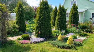 ИЮНЬСКИЙ САД ПРЕКРАСЕН 03.06.25г.🌺