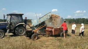 Уборка картофеля комбайном Anna Z644 с трактором Lovol 504