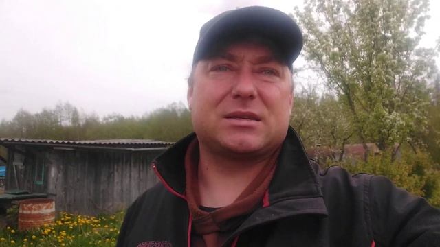 Культивируем и сеем рапс смотреть онлайн