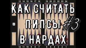 КАК СЧИТАТЬ ПИПСЫ #3 | СЧИТАЕМ ДВОР | OUTFIELD PIPCOUNT | BACKGAMMON |