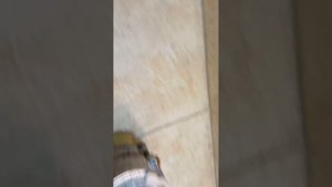 В продаже генераторы на мотоцикл Урал 12в. Ссылка на об?