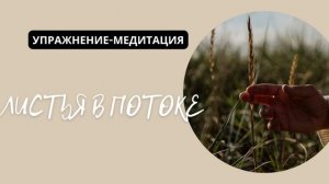 Упражнение-медитация "листья в потоке"