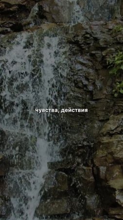 Что такое посвящение #мотивация #христианство #Бог