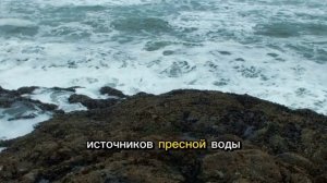 Катастрофически повышается Уровень мирового океана
