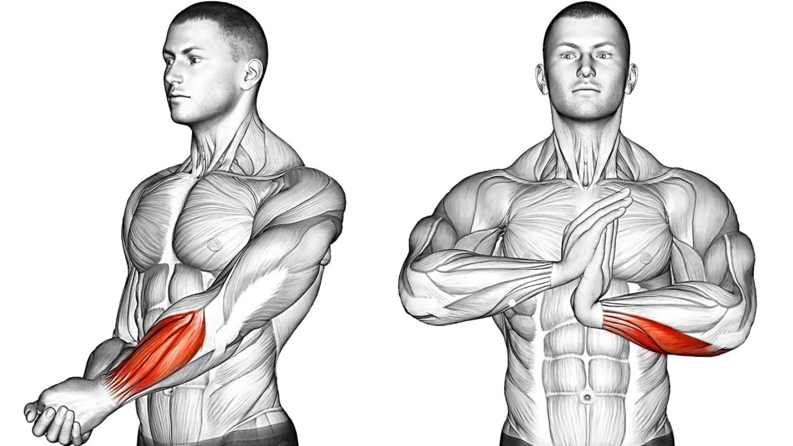 Увеличьте Силу Хвата и гибкость Запястий