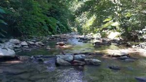 ЭТОТ ПРОДУКТ Останавливает Потерю Мышц Даже в Пожилом возрасте