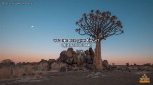 Подарите первые минуты вашего дня Богу ВСЕГДА Начинайте Свой День С Мощной Утренней Молитвой.