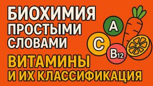Биохимия простыми словами | вопрос 1 | витамины и их классификация и функции