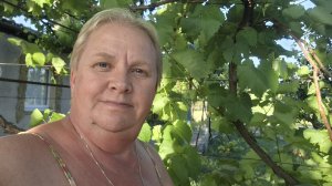 256. Привет из Крыма.  Эксперимент не удался. 04.06.25.