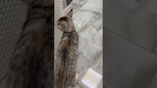 Хлоя и Скот