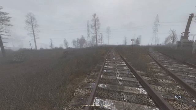 НАШЛИ ОАЗИС! / ПРОХОЖДЕНИЕ S.T.A.L.K.E.R. MISERY