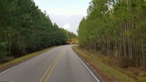 Сельская дорога Луизианы