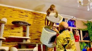 Люся приехала домой и НАЧАЛА ГРОМИТЬ все вокруг, ей уже не интересно дома