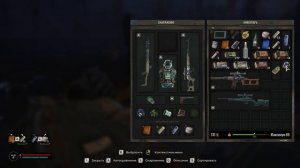 КЛАССНЫЙ АРТЕФАКТ НА ВЫНОСЛИВОСТЬ ГРОЗОВАЯ ЯГОДА STALKER