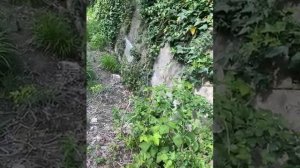 Это водопад (река)/#Драконы из бумаги