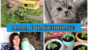 04-06-2025 МАМА В ПАНСИОНАТЕ❤️РАЗДРАЙ В ДУШЕ😢ДРУГОГО ВЫХОДА НЕ НАШЛА❤️