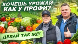 398. Секреты богатого урожая от СЕМКО