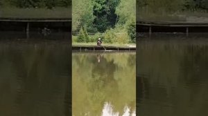 КРХ ТРИФОН
