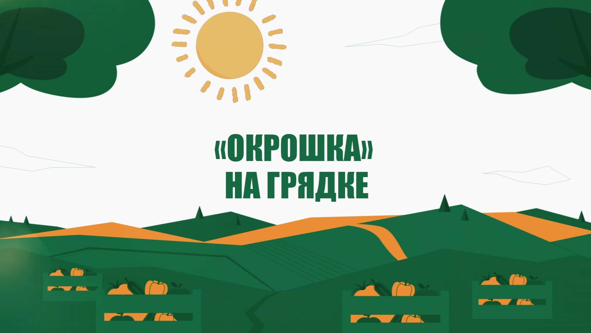 Агроэксперт. «Окрошка» на грядке