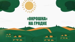Агроэксперт. «Окрошка» на грядке