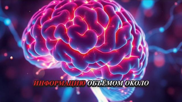 86 миллиардов нейронов: как работает ваш мозг?