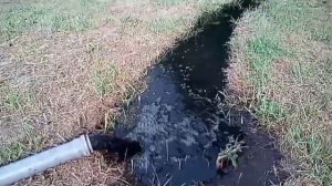 Откачка+чистка выгребной ямы 4ч.