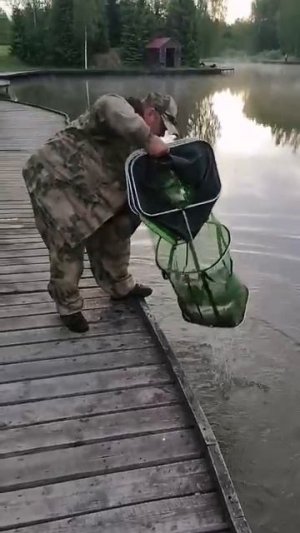КРХ ТРИФОН