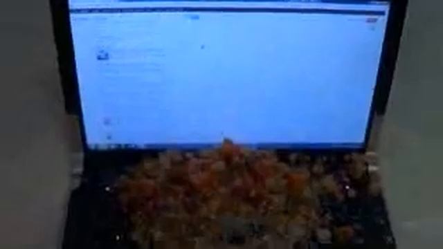 Как установить GTA 5 на ПК