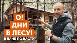 Баня в лесу Облицовка царским кирпичом Планировка бани по васту
