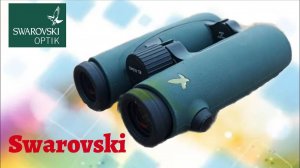 3ч. Бинокли Swarovski