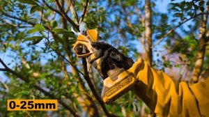 Секатор садовый совместимый с аккумулятором INGCO CSSLI20308