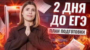 Как подготовиться к ЕГЭ по информатике 2025 за 2 ДНЯ?  Что нужно сделать, чтобы СДАТЬ? | Умскул