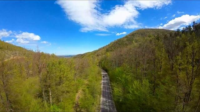 Пролетно зелената гора под Петрохан - Spring green forest under Petr смотреть онлайн