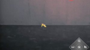 Сравнительный тест тепловизионных прицелов от ведущи