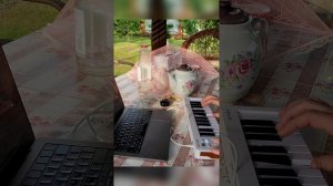 Дачный продакшн с миди-контроллером Arturia Microlab mk3. Летом творить на природе - лучшее удовольс