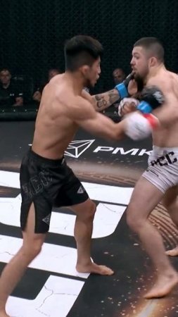 Лучшие нокауты Подпишись и ставь лайк #ufc #mma #youtube #sports #tiktok #shortsvideo #russia #box