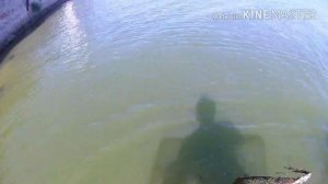 Ловля креветок в лимане осенью!