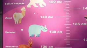 Кто какого роста?🦍🐄🦬Детская научно-развлекательная детская площадка на Старом озере. #Кисловодск