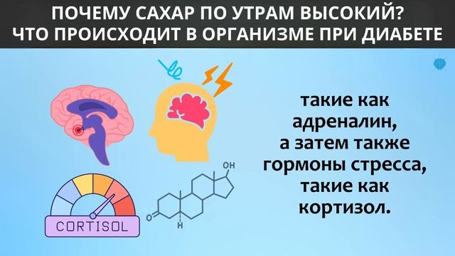 Сделайте Это, Чтобы Снизить Высокий Уровень Сахара по смотреть онлайн