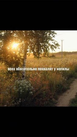 любимый дайте танк❤🩹 #дайтетанк #песня #рекпж #актив #врек #эстетика #видео