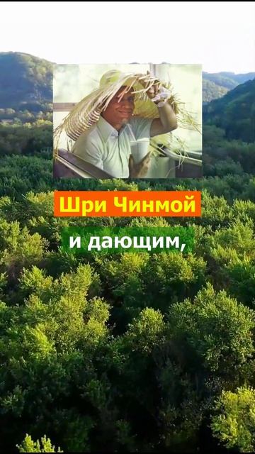 Если я хочу быть по-настоящему счастливым #shorts смотреть онлайн