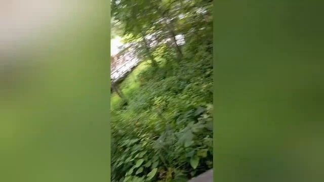 Влог: Сергиев Посад - святой источник Гремячий Ключ смотреть онлайн