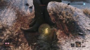 SEKIRO  SHADOWS DIE TWICE Крысы по квесту ТЭНГУ.