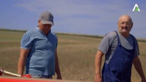 Дисковая борона Vaderstad Carrier 500 CROSSCUTTER DISC, хозяйство AGRO-BALAN