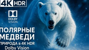 Сокровища природы 4K Видео очень красиво ｜ Dolby Vision в 60 кадров!