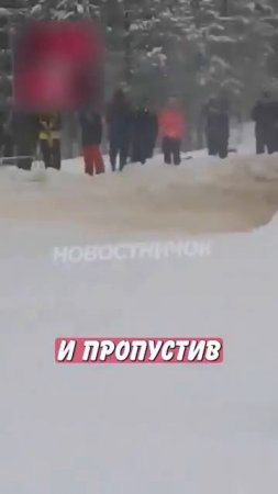Новостничок (37)