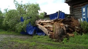 ПОСЛЕДСТВИЯ ГРОЗЫ