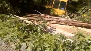 дт75 с мульчером ORSI W forrest 2100